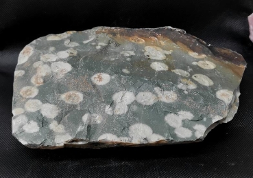 Green Plum Jasper